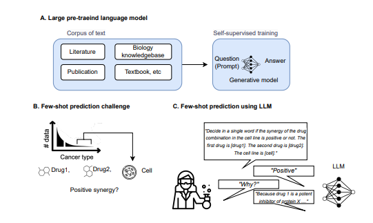 Drug Pair Synergy Prediction using LLMs